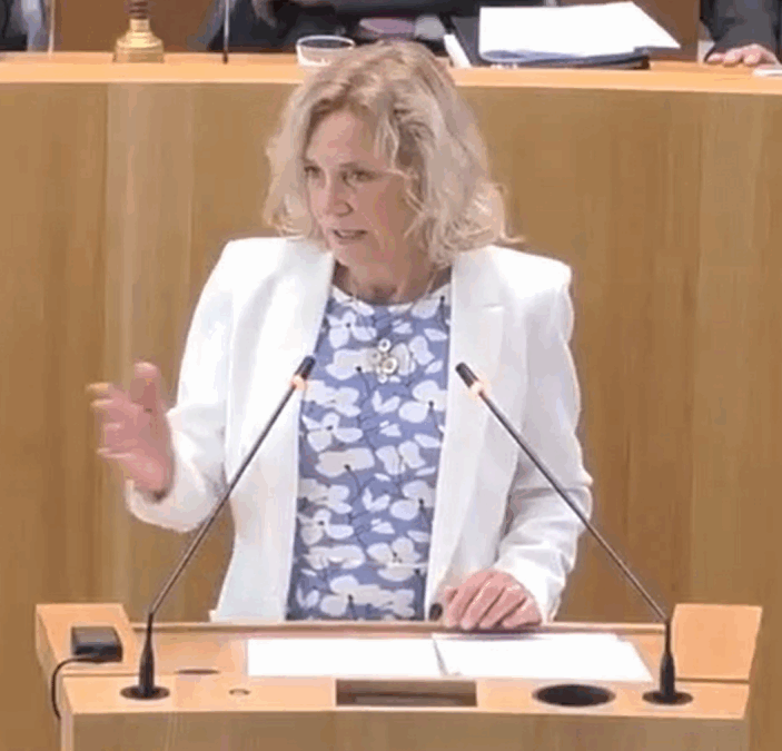 12.06.2025: Rede zur Aktuellen Debatte „Zeitenwende braucht starke Verteidigungsindustrie“