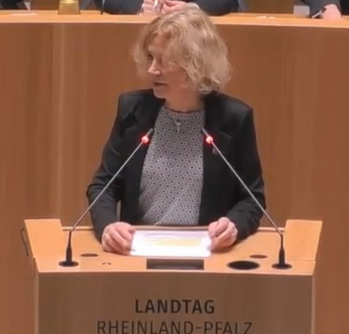 29.01.2026: Rede zur Aktuellen Debatte „Ohne Handwerk keine Zukunft“